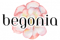 Begonia